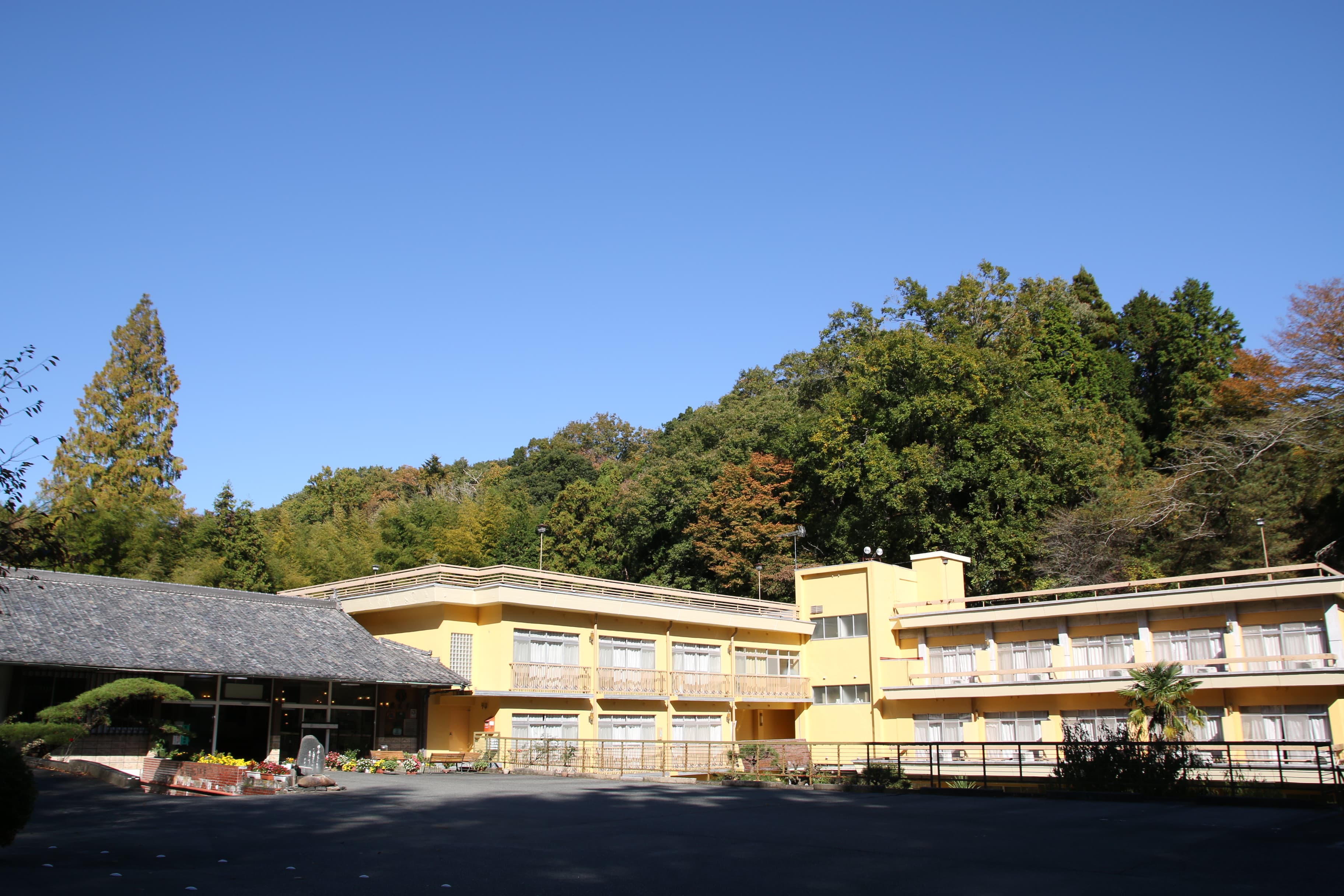 いわき湯本温泉郷　白鳥温泉　春木屋旅館 - 1