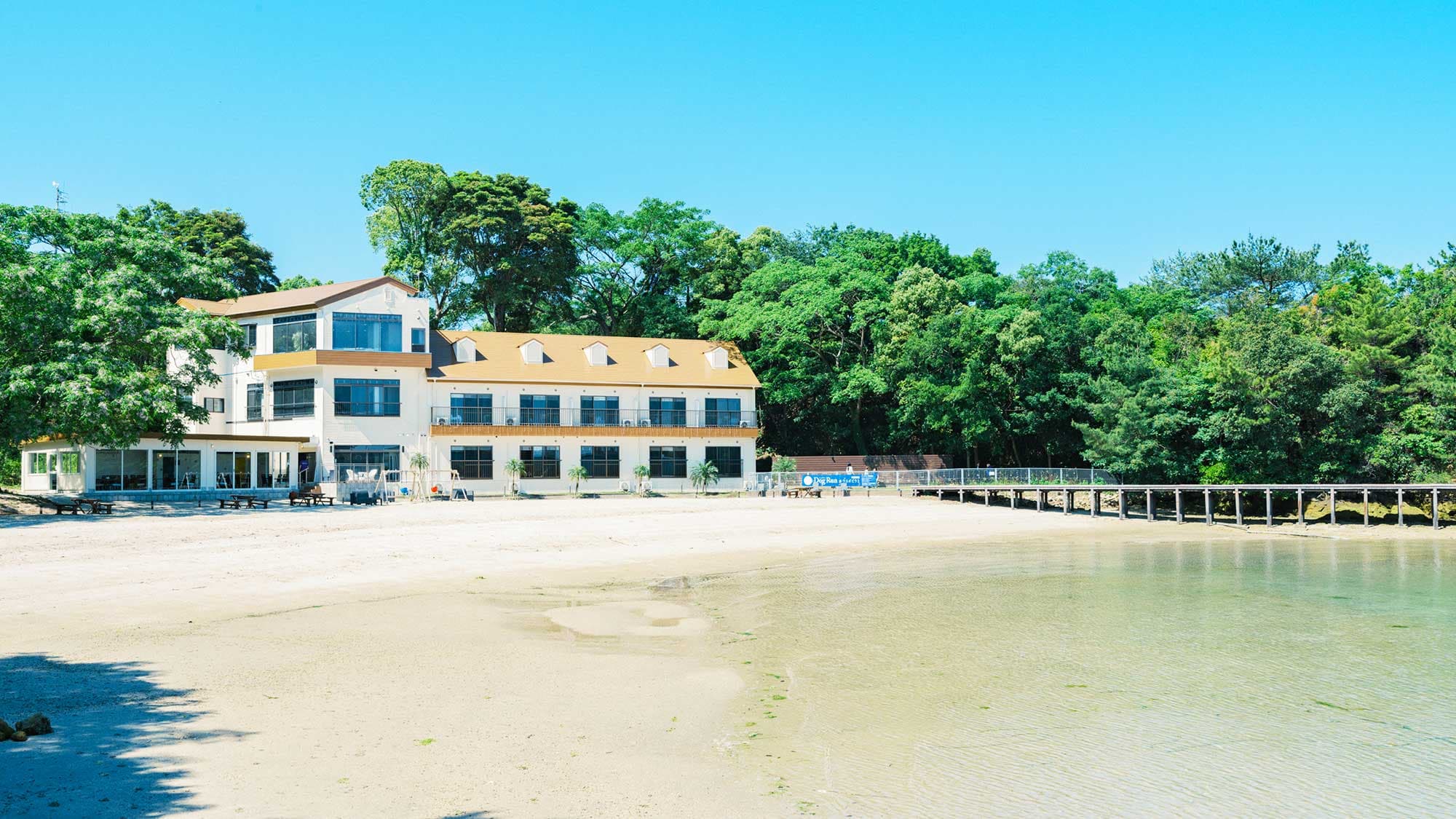 펫 리조트 브레인즈 아마쿠사