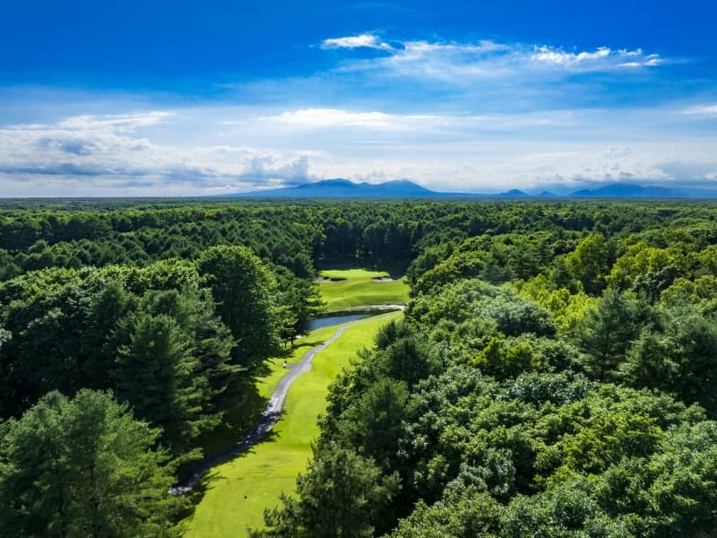 니도무 C.C (Nidom Classic Course) 사진 2