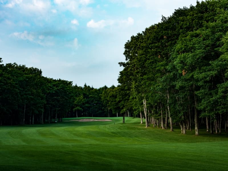 니도무 C.C (Nidom Classic Course) 사진 6